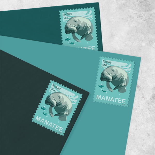 2024 Save Manatees
