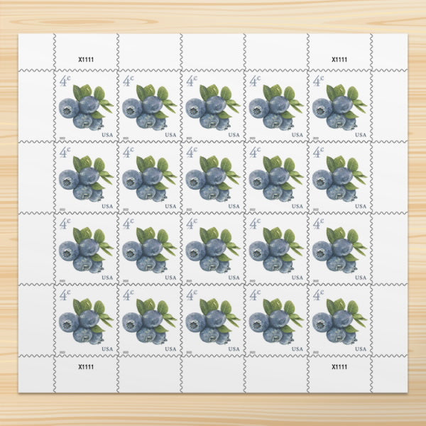 2022 Blueberries