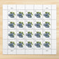 2022 Blueberries