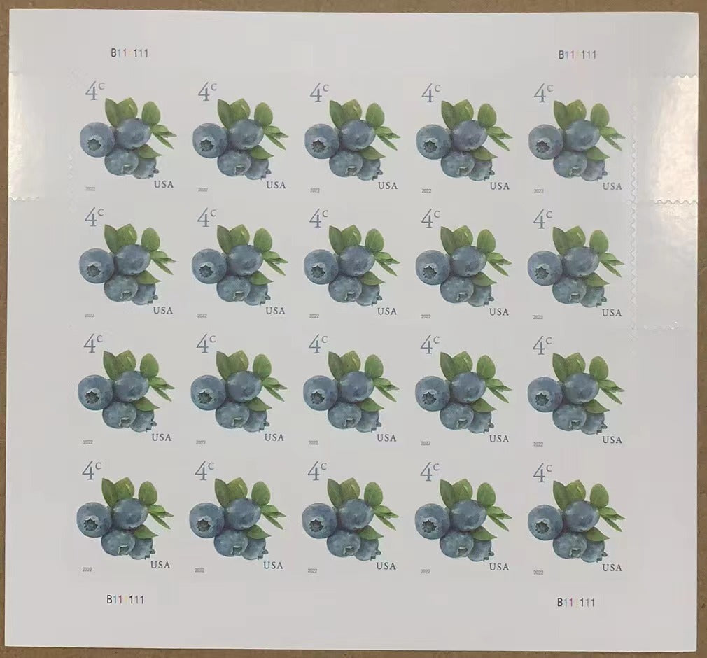2022 Blueberries