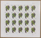 2016 Grapes