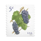 2016 Grapes