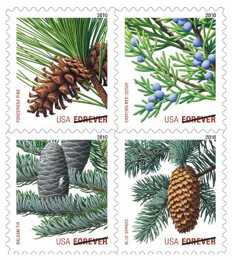 2010 Holiday Evergreens
