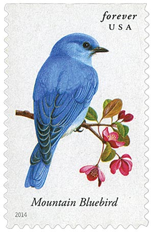 2014 Songbirds