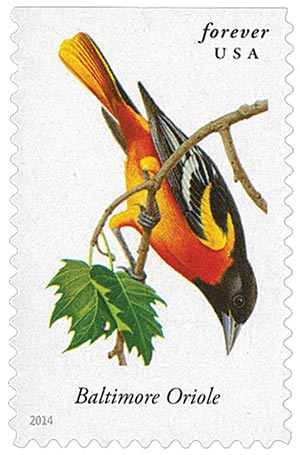 2014 Songbirds