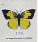 2019 US California Dogface Butterfly